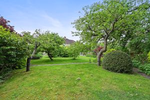 Photo 10- click for photo gallery